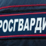 Самарские росгвардейцы разыскали велосипед, украденный у курьера службы доставки - НИА Самара