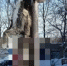 В Самаре разыскивают живодера, зверски растерзавшего несчастную кошку - ГТРК Самара
