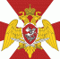 День войск национальной гвардии Российской Федерации - Дума городского округа Самары