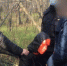 В Самаре компания друзей-подростков насиловала 18-летнюю официантку и снимала всё на видео - ГТРК Самара