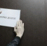 Группа депутатов Госдумы во главе с председателем комитета по безопасности и противодействию коррупции Василием Пискаревым внесла в палату доработанный законопроект. - НИА Самара