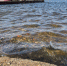 В Самарской области уровень воды в Волге поднялся до опасных значений - ГТРК Самара