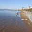 Самарские пляжи выходят из воды - ТРК Скат
