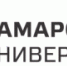 Самарские ученые акклиматизировали российские беспилотники к жаркому климату Ближнего Востока - НИА Самара