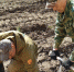 Возрождаем лес - Национальный парк Самарская лука