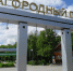 В Самаре объявили торги для масштабной реконструкции Загородного парка - РегионСамара.Ru