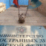 Возврата к уровню отношений до 24 февраля не будет, Россия вступила в острую фазу противоборства с агрессивным альянсом недружественных стран. - НИА Самара