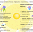 ANVi94XhzQwdVkErENZSYLfKp03MvXnlivapDKcO.png - Городская больница №10