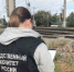 В Зубчаниновке поезд насмерть сбил мужчину - Губерния ТВ