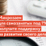 Микрозаймы по программе господдержки для самозанятых Самарской области: получите до 500 тысяч рублей на поддержание и развитие своего дела - Администрация городского округа Самара