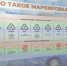 В самарской гимназии провели экоурок и рассказали о сортировке отходов - Губерния ТВ