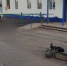 Заборчик-убийца: в Самарской области погиб ребенок на электросамокате - ГТРК Самара