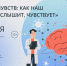 В ДК "Тольяттиазот" пройдет лекция "Анатомия чувств: как наш мозг видит, слышит, чувствует" - Волга Ньюс