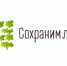 Видовые башни в 28 российских городах окрасятся в зеленый цвет, символизируя поддержку теме восстановления лесов в нашей стране. - НИА Самара
