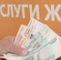 ФАС проконтролирует соблюдение утвержденных предельных индексов и не допустит необоснованного роста. - НИА Самара