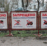 Самарцев просят не смывать салаты в унитаз - НИА Самара