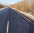 Последний день оленя: в Самарской области произошло массовое ДТП с печальным исходом - ГТРК Самара