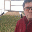 Благодаря соцконтракту житель Челно-Вершинского района начал выращивать тюльпаны - Губерния ТВ