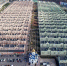 Самарские власти запретили Кошелеву развивать жилищный проект - Samara.Sm.News