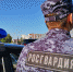 Скрывалась в другом городе – в Самарской области росгвардейцы задержали женщину, находившуюся в розыске - Росгвардия