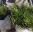 You are viewing the image with filename 001.jpg - Самарский ГАУ