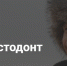 В Москве 1 мая завершились съемки сериала «Мастодонт» кинокомпании «Эволюшн Пикчерс» - ProGorodSamara.Ru
