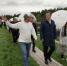 Грантовая поддержка помогла развитию туристического глемпинг-парка в Сызранском районе - Волга Ньюс