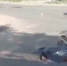 Появилось видео смертельного наезда грузовика MAN на 19-летнего самокатчика в Самаре - ProGorodSamara.Ru