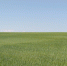 You are viewing the image with filename 001.jpg - Самарский ГАУ