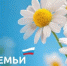Турнир по блиц шахматам, посвященный Дню Семьи. - Федерация шахмат