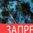 Внимание, установлен запрет на посещение лесов! - Минлесхоз