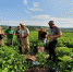 You are viewing the image with filename 001.jpg - Самарский ГАУ