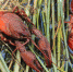 У жителя Самары конфисковали лодку, ласты и обед - ГТРК Самара