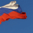 Самарская область отметит День флага Российской Федерации - SamaraGIS.Ru
