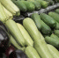 В Роспотребнадзоре назвали главные продукты сентября - Губерния ТВ