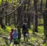 Жители Самарской области массово уходят в лес - ГТРК Самара