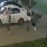 В Южном городе под Самарой мужчина жестоко избил девушку, отмахнувшуюся от его собачки - ГТРК Самара