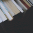 "Книжное ГТО": лицеистка из Самарской области прочитала 543 слова за минуту - Губерния ТВ