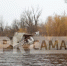 Появились кадры последствий падения жилого дома в Волгу под Самарой - ГТРК Самара