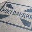 В Тольятти сотрудники Росгвардии обеспечили безопасность матча КХЛ - Росгвардия
