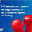 Встреча пройдет на площадке СКК «Дворец спорта имени Владимира Высоцкого». - НИА Самара