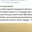 В Самаре департамент охоты предложил передавать мясо диких животных в зону СВО - ProGorodSamara.Ru