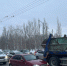 В Самаре 4 популярных автобусных маршрута меняют схему движения до лета 2024 - ГТРК Самара