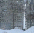 ольга3.JPG - Губерния ТВ