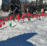 В Самаре отметили 35 годовщину вывода советских войск из Афганистана - ГТРК Самара