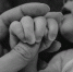 В России предложили ввести дополнительный отпуск для усыновителей - Губерния ТВ