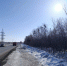 В Самарскую область прилетели грачи - ТРК Скат