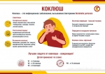 Коклюш