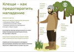 КЛЕЩИ.