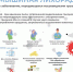 ГЛПС. - Муниципальный район Борский